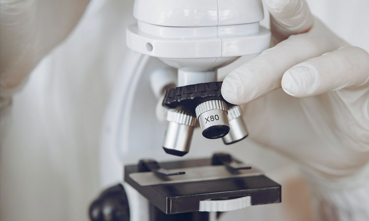 Microscopios Leica: Más allá de los microscopios convencionales